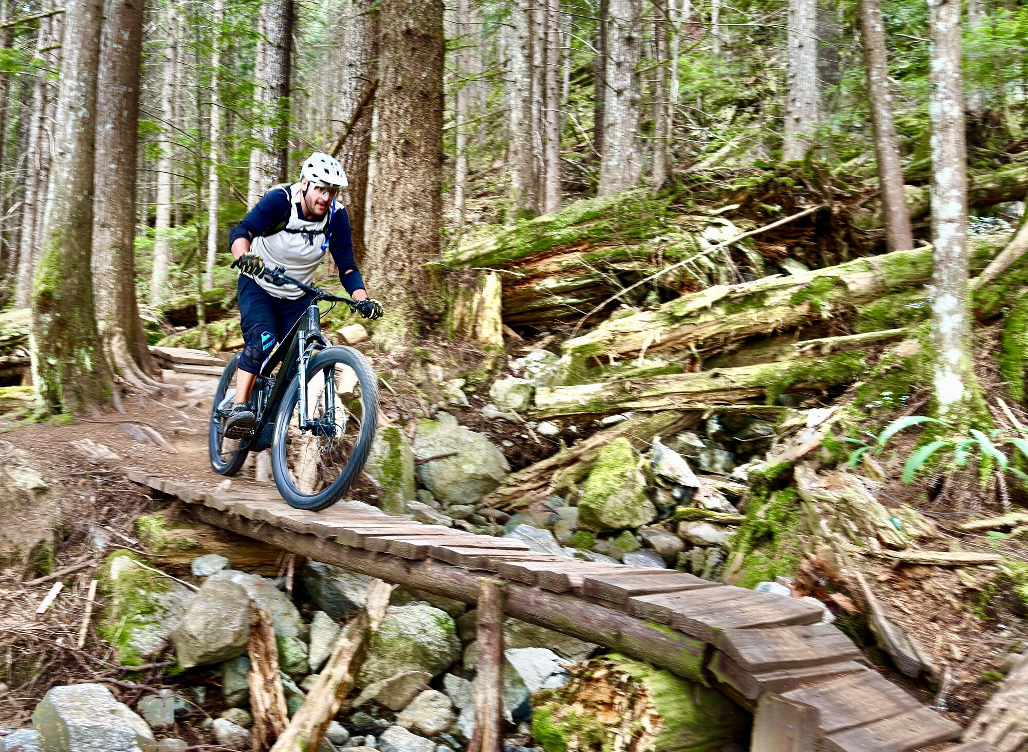 Rider crossing a wooden bridge through mossy old-growth forest